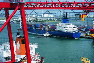 香港倉儲服務(wù)